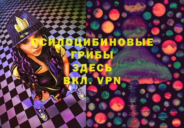 спайс Нея