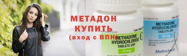 прущие грибы Абаза