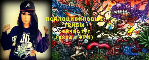 прущие грибы Абаза