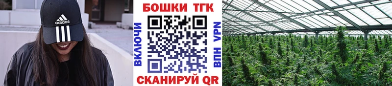 Бошки марихуана план  Хилок 